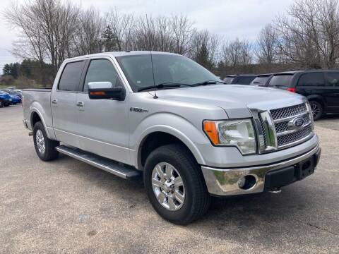 2010 Ford F-150 for sale at Deals on Wheels Auto Sales in Scottville MI