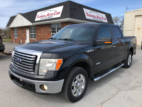 2011 Ford F-150 for sale at tazewellauto.com in Tazewell TN