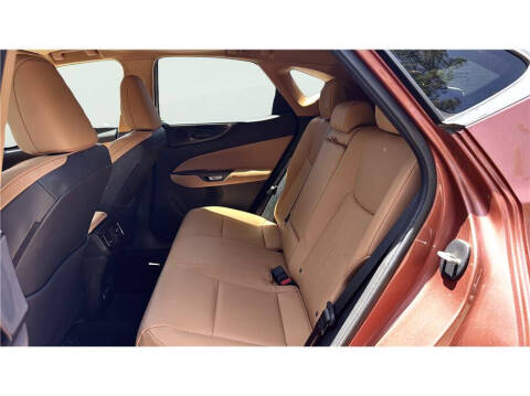 2025 Lexus NX 250
