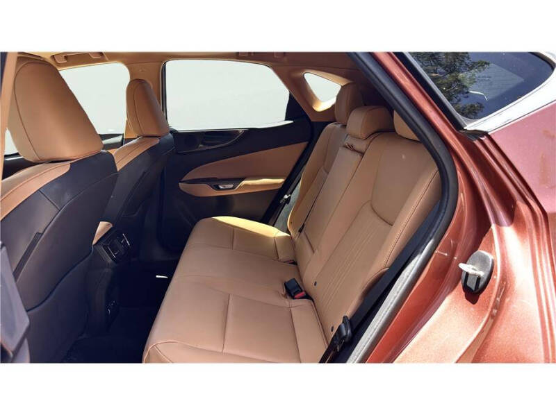 2025 Lexus NX 250