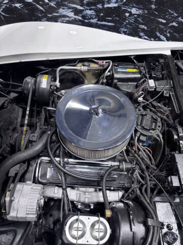 1981 Chevrolet Corvette