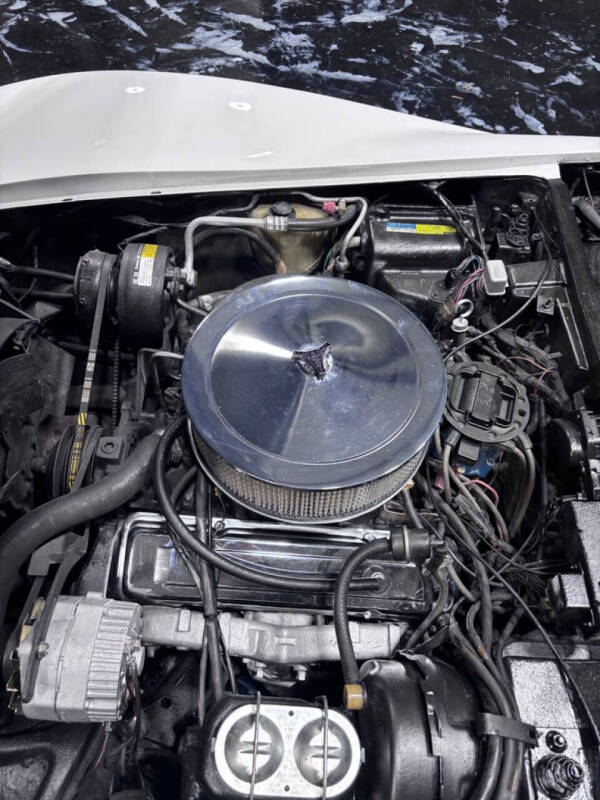 1981 Chevrolet Corvette