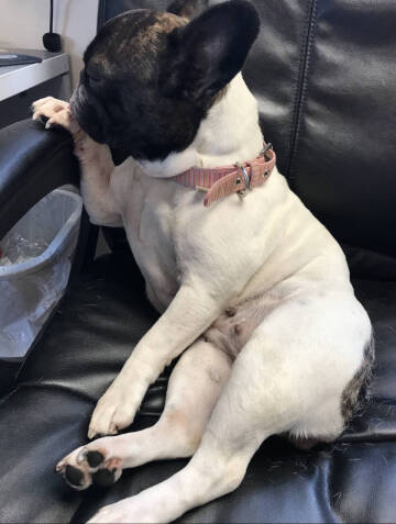 2015 Toyota Highlander LE