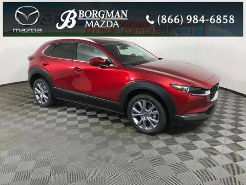 2022 Mazda CX-30 for sale at Everyone's Financed At Borgman in Grandville MI