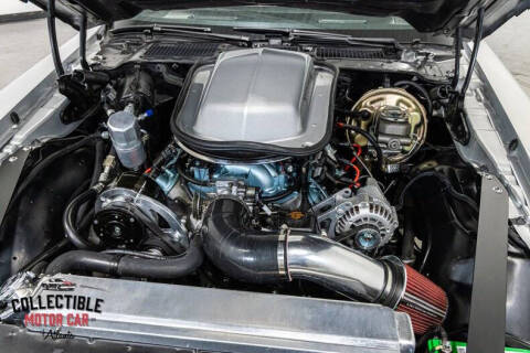 1981 Pontiac Firebird Trans Am
