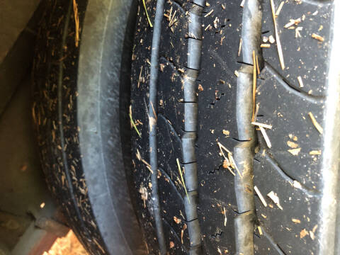 2009 Blue Bird Vision