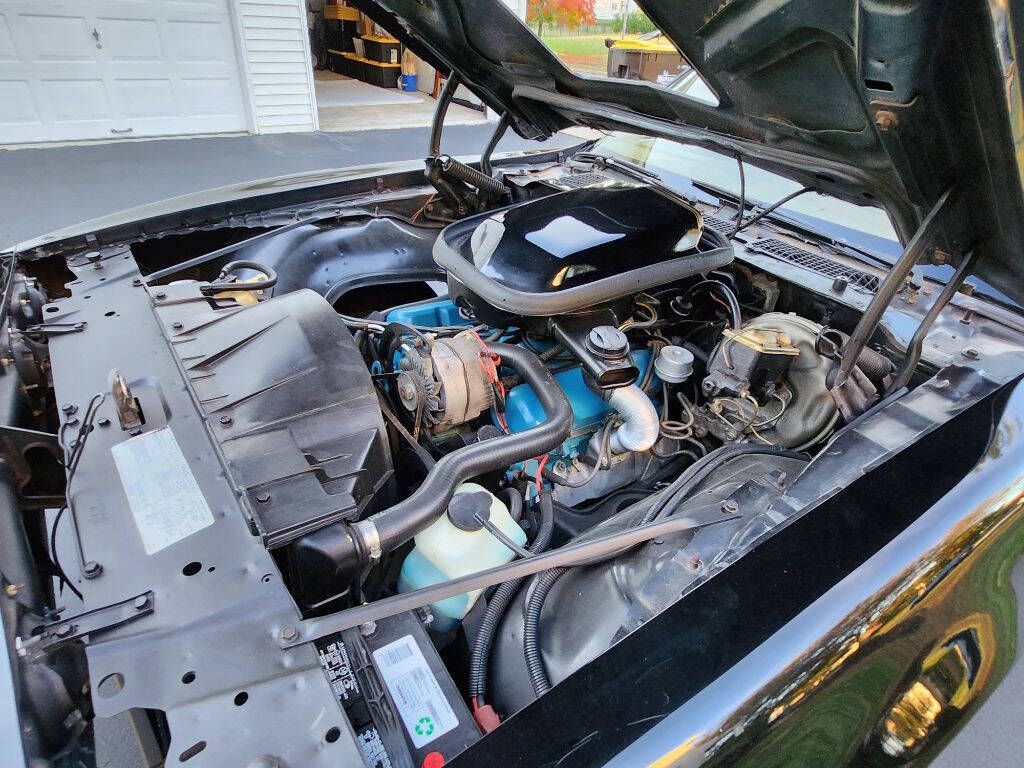 1979 Pontiac Trans Am for sale at Professional Sales Inc in Bensalem, PA