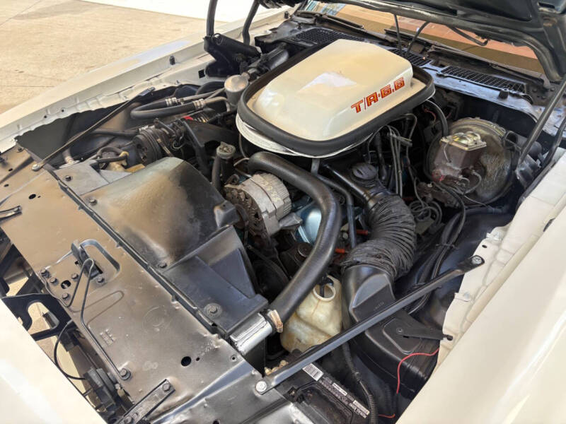 1979 Pontiac Firebird