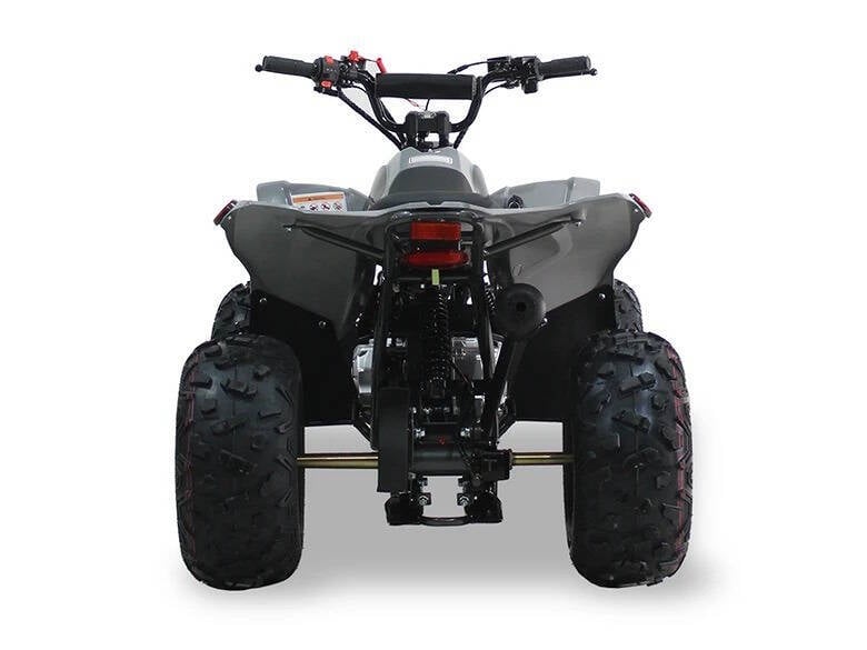 2024 SYXMOTO  PRO SERIES ATV SY125 for sale at TEXAS MOTORS POWERSPORT in ORLANDO, FL