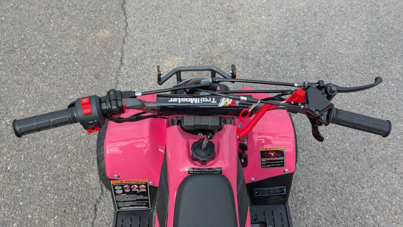 2024 TrailMaster Mini 110 Sport