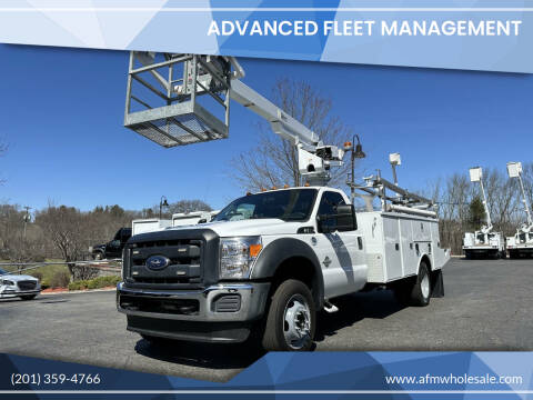 2015 Ford F-550 Super Duty for sale at Advanced Fleet Management - Branchville in Branchville NJ
