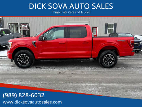 2023 Ford F-150 for sale at DICK SOVA AUTO SALES in Shepherd MI