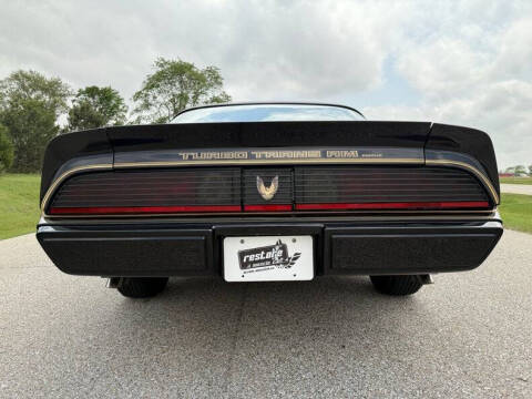 1981 Pontiac Firebird Trans Am