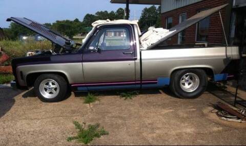 1976 Chevrolet C/K 10 Series for sale at Haggle Me Classics in Hobart IN