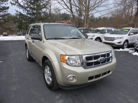 2011 Ford Escape XLT