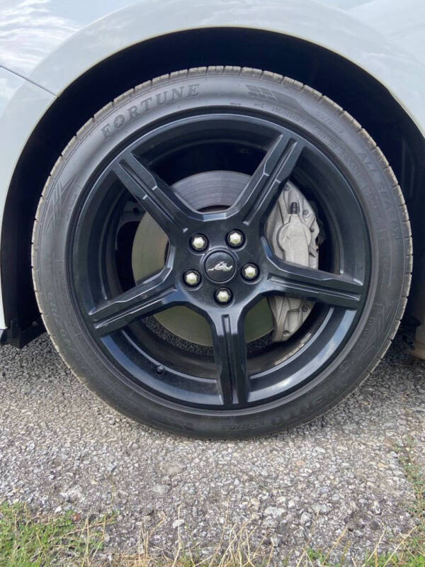 2019 Ford Mustang GT Premium