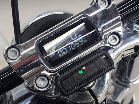 2020 Harley-Davidson Softail