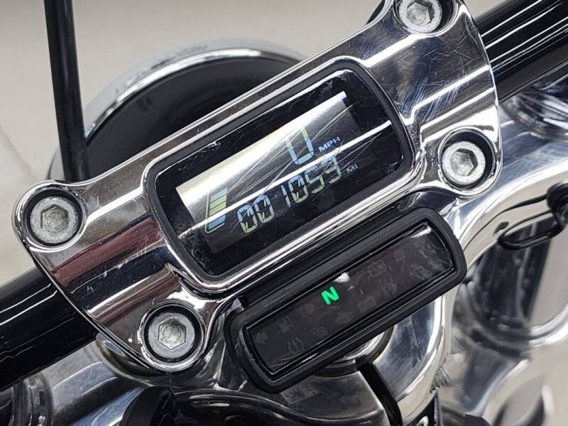 2020 Harley-Davidson Softail