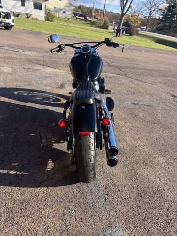 2019 Harley Davidson Softail