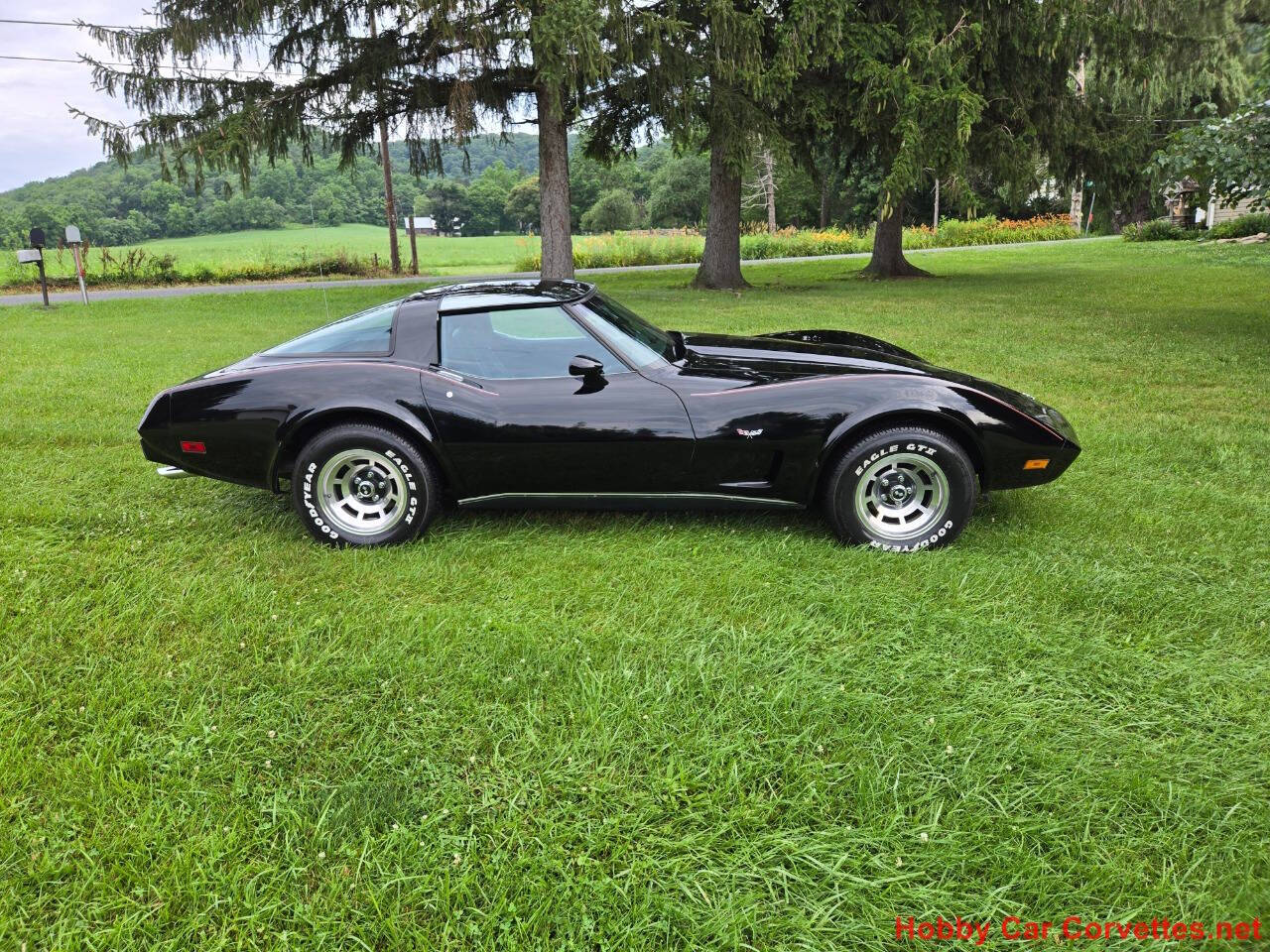 1979 Chevrolet Corvette 4