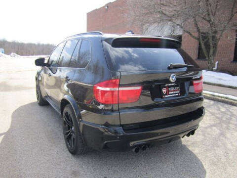 2010 BMW X5 M