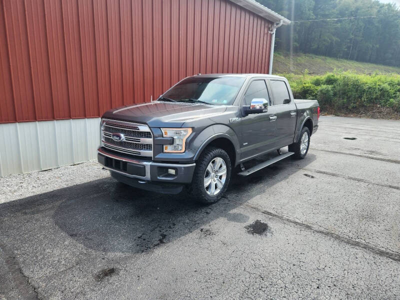 2015 Ford F-150 Platinum