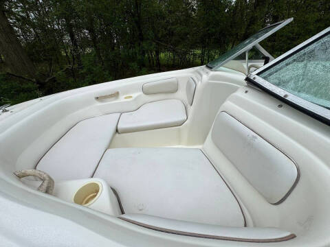 1995 Sea Ray 175