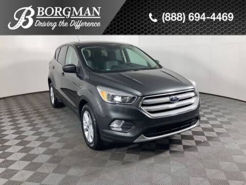 2019 Ford Escape for sale at BORGMAN OF HOLLAND LLC in Holland MI