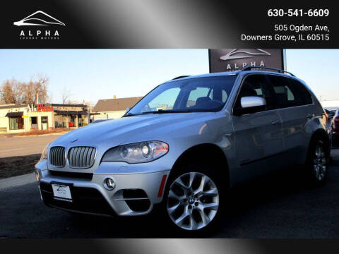 2013 BMW X5 for sale at Alpha Luxury Motors in Downers Grove IL