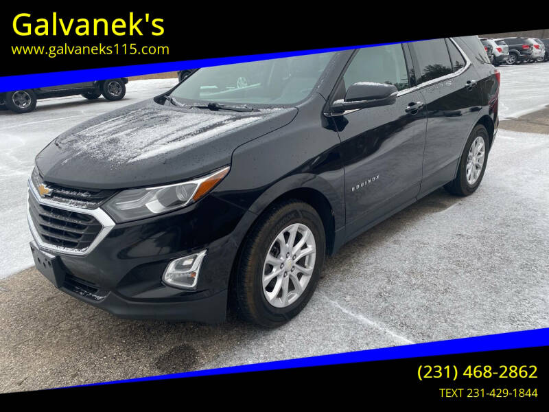 2018 Chevrolet Equinox for sale at Galvanek's in Cadillac MI