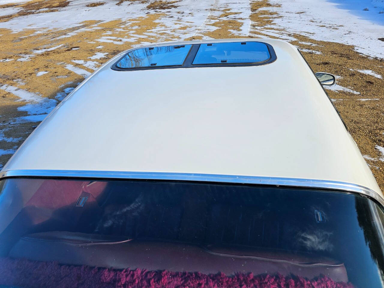 1976 Pontiac Trans Am 283