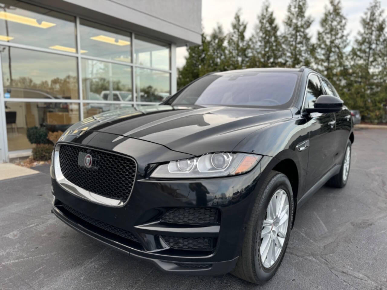 2019 Jaguar F-PACE for sale at Opus Motorcars in Utica, MI