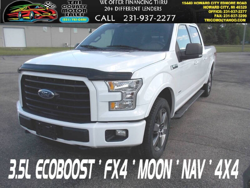 2015 Ford F-150 for sale at Tri County Motor Sales in Howard City MI