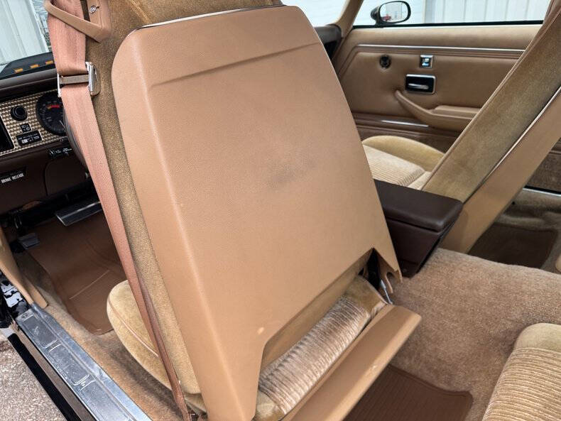 1981 Pontiac Firebird Trans Am