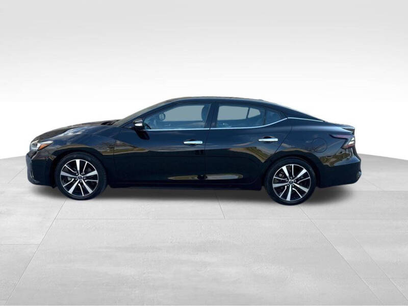 Used 2023 Nissan Maxima SV with VIN 1N4AA6CV1PC509055 for sale in Maysville, KY