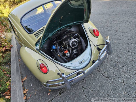 1966 Volkswagen Beetle