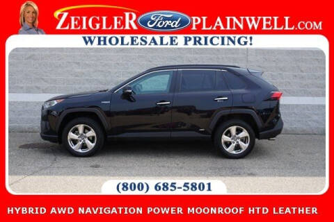 2019 Toyota RAV4 Hybrid for sale at Zeigler Ford of Plainwell - Jeff Bishop in Plainwell MI