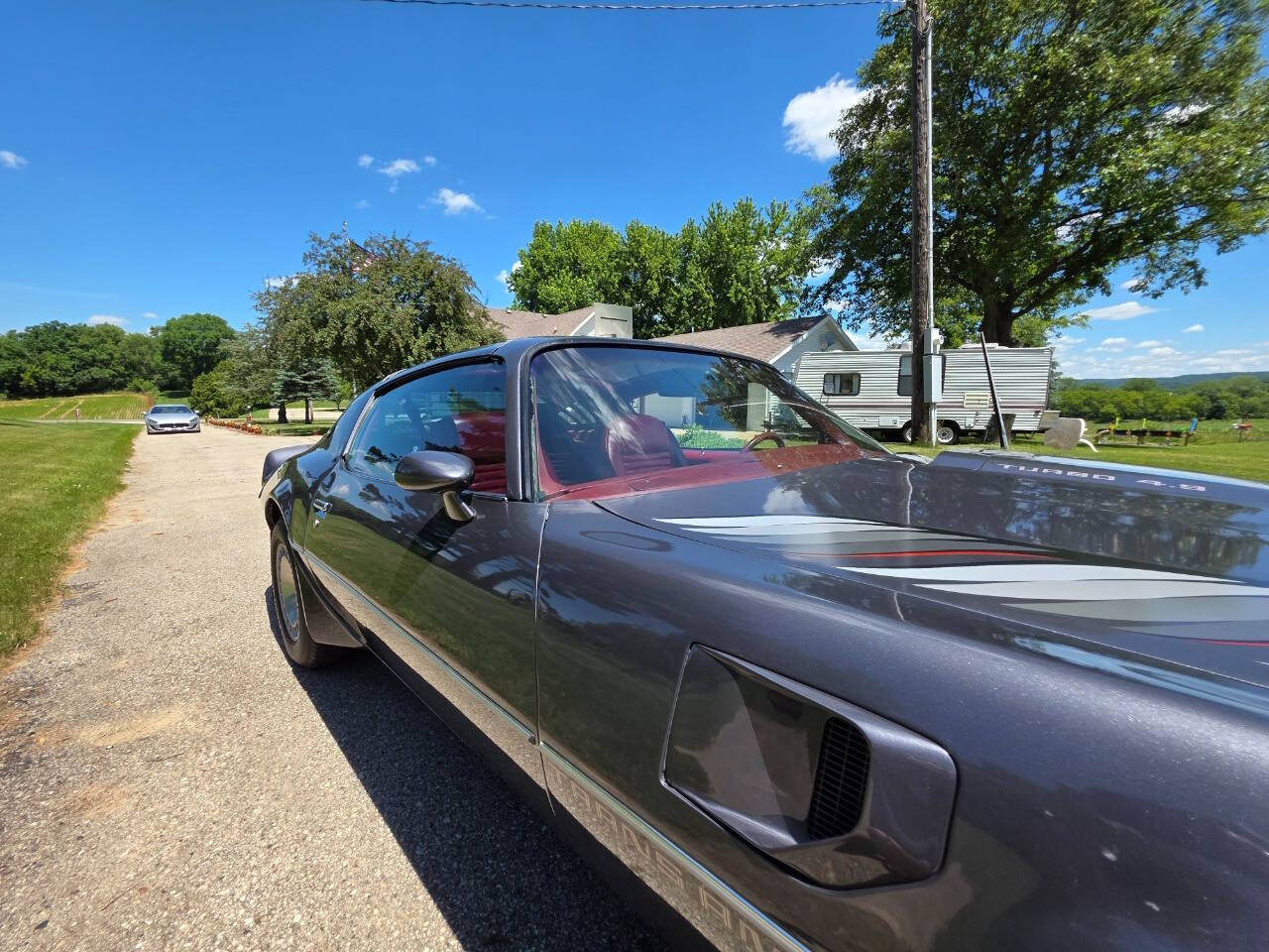 1980 Pontiac Firebird Trans Am 32
