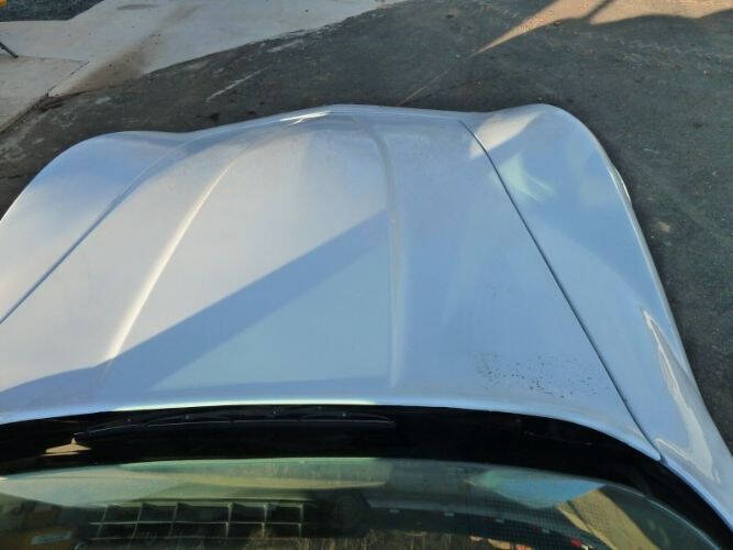 1981 Chevrolet Corvette
