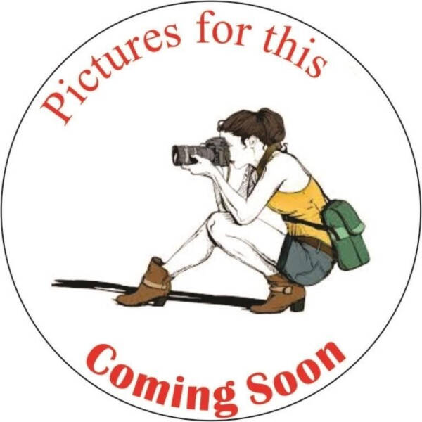 2009 Ford Crown Victoria Police's photo