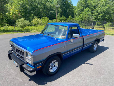 1992 Dodge RAM 150 LE