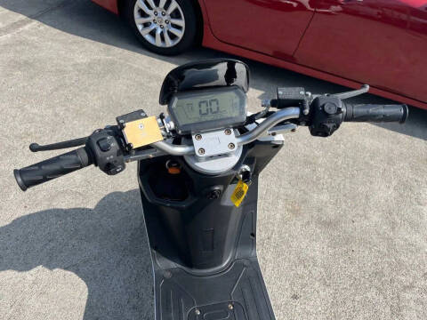 2020 Zebra E-bike