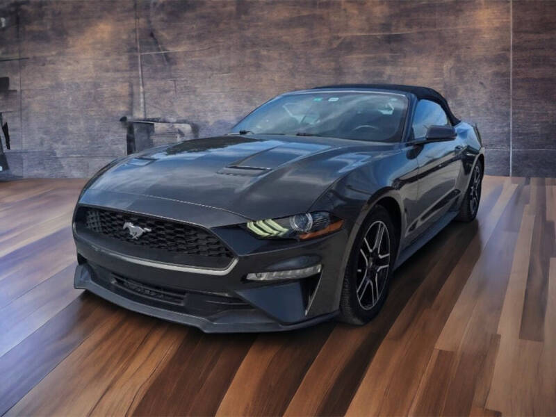 2019 Ford Mustang for sale at New Tampa Auto in Tampa FL