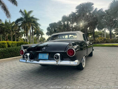 1955 Ford Thunderbird