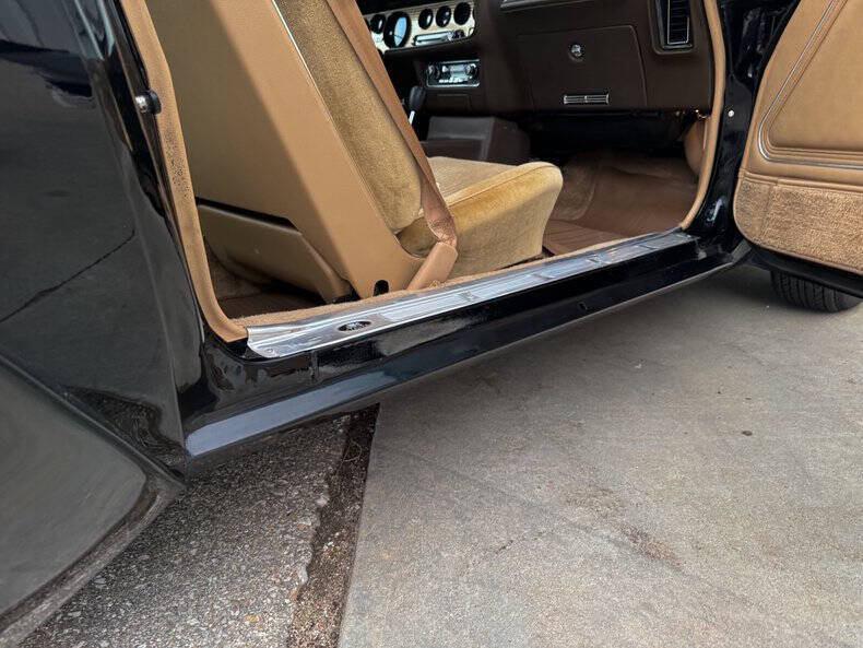 1981 Pontiac Firebird Trans Am