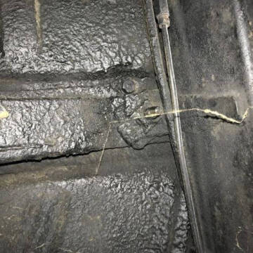 1955 Ford Thunderbird