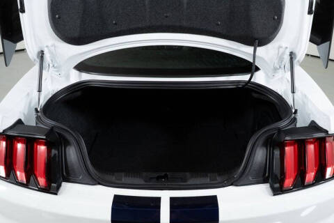 2022 Ford Mustang Shelby GT500