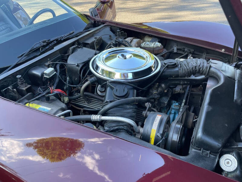 1981 Chevrolet Corvette