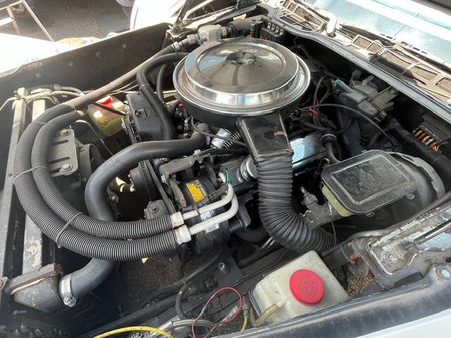 1982 Pontiac Firebird Trans Am