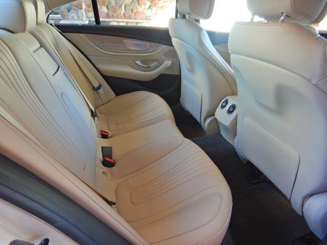 2019 Mercedes-Benz CLS CLS 450 4MATIC